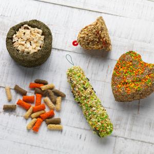 Snacks for rodents and exotic birds